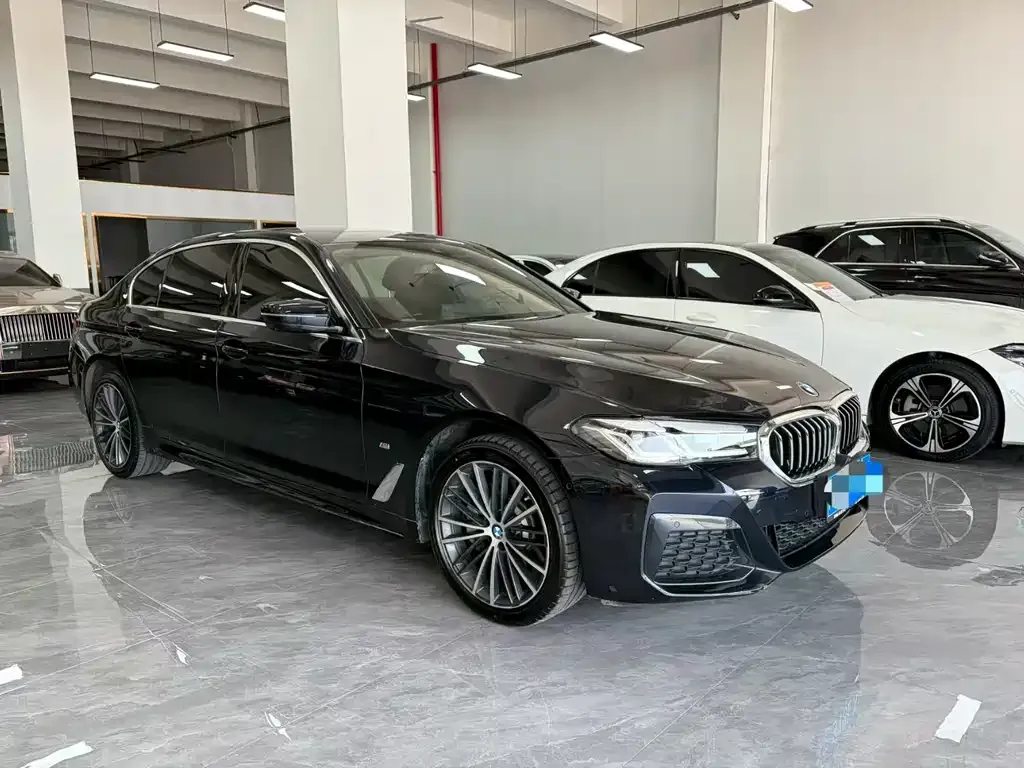 BMW 5 Series 2023 из CN, фото 3