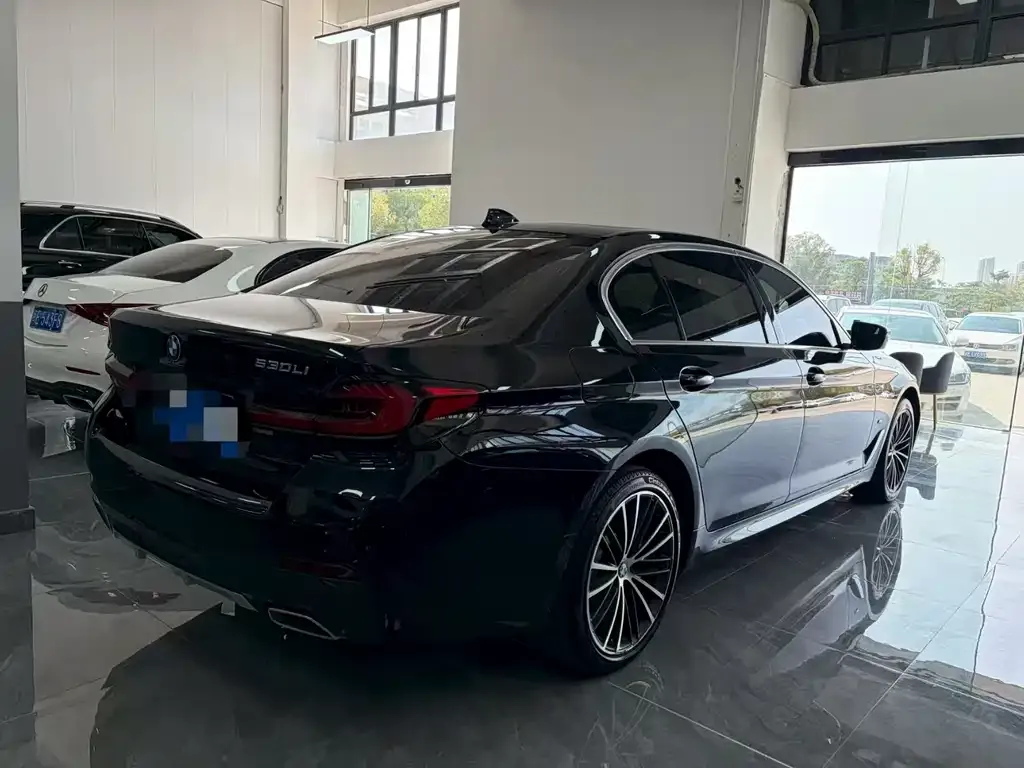 BMW 5 Series 2023 из CN, фото 5