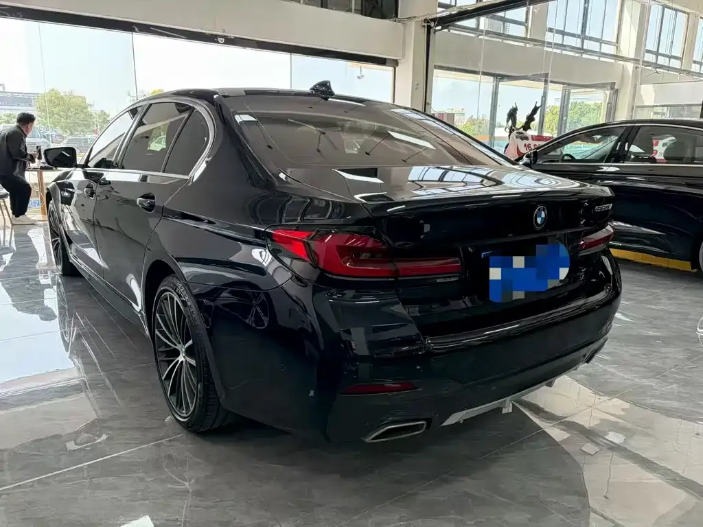 BMW 5 Series 2023 из CN, фото 8
