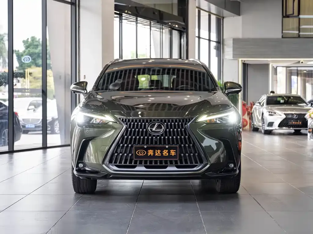 Lexus NX 2022 из CN, фото 6
