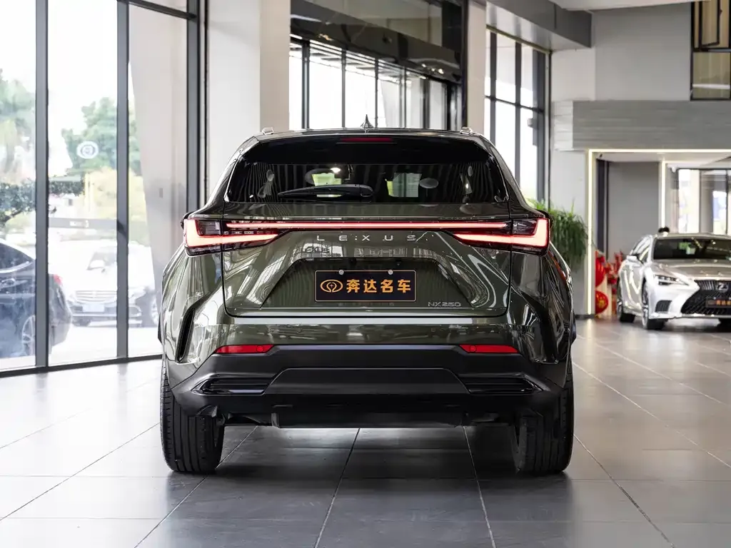 Lexus NX 2022 из CN, фото 2