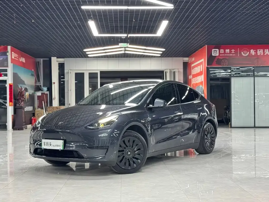 Tesla Model Y — фото 1