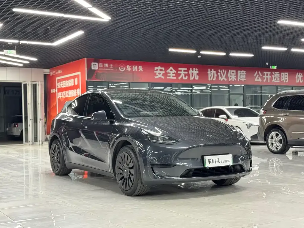 Tesla Model Y — фото 6