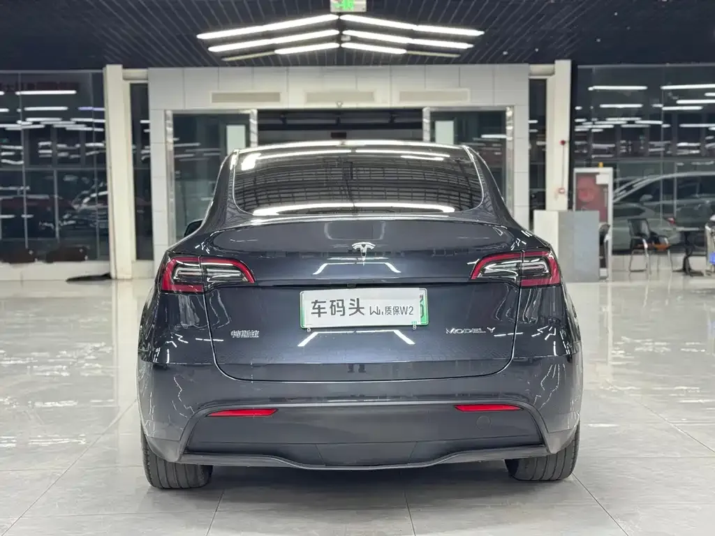 Tesla Model Y — фото 8