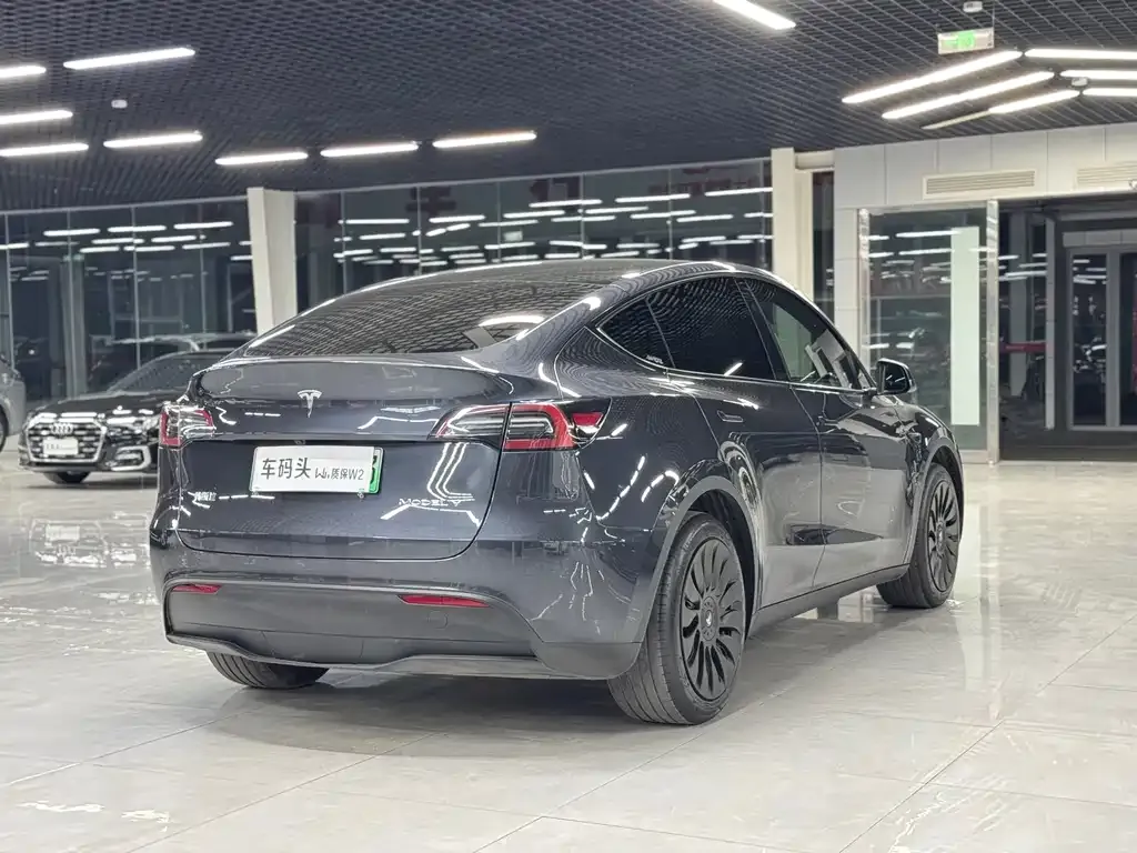 Tesla Model Y — фото 3