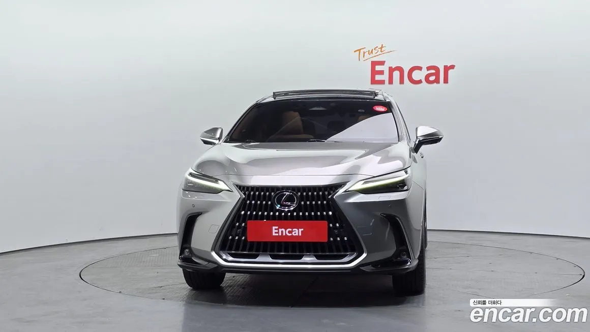 Lexus NX 2024 из KR, фото 3