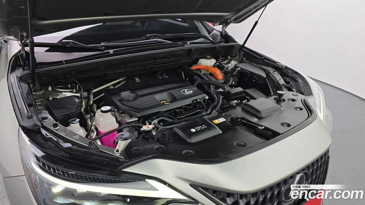 Lexus NX 2024 из KR, фото 7