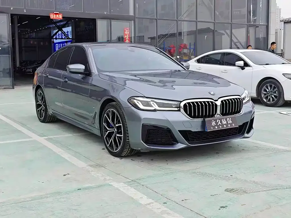 BMW 5 Series (Import) — фото 6