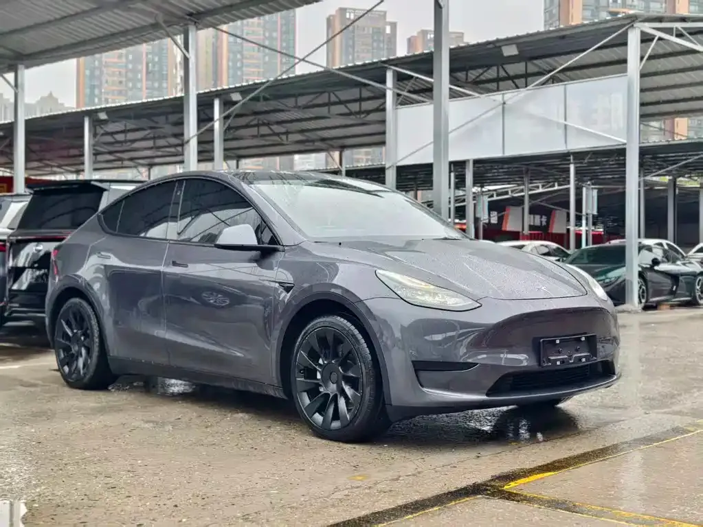 Tesla Model Y — фото 6
