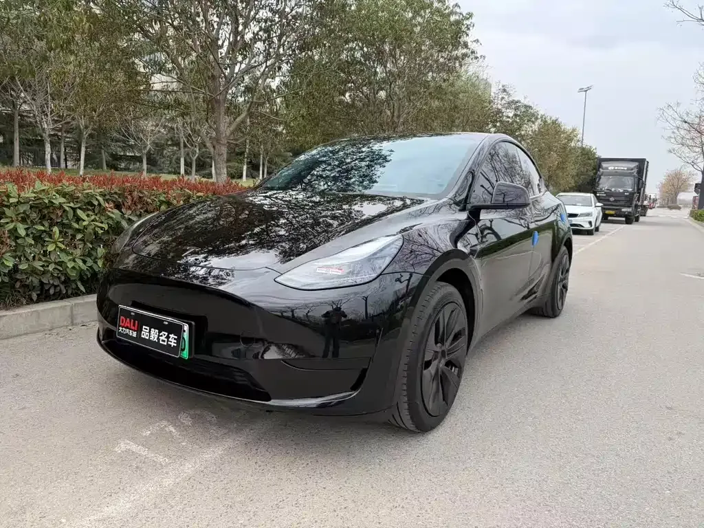 Tesla Model Y — фото 1