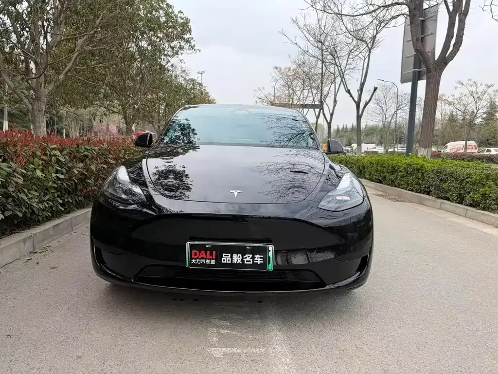 Tesla Model Y — фото 9