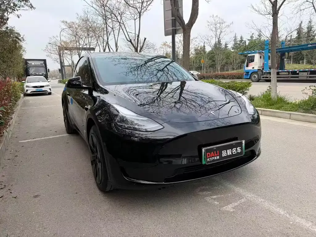 Tesla Model Y — фото 10