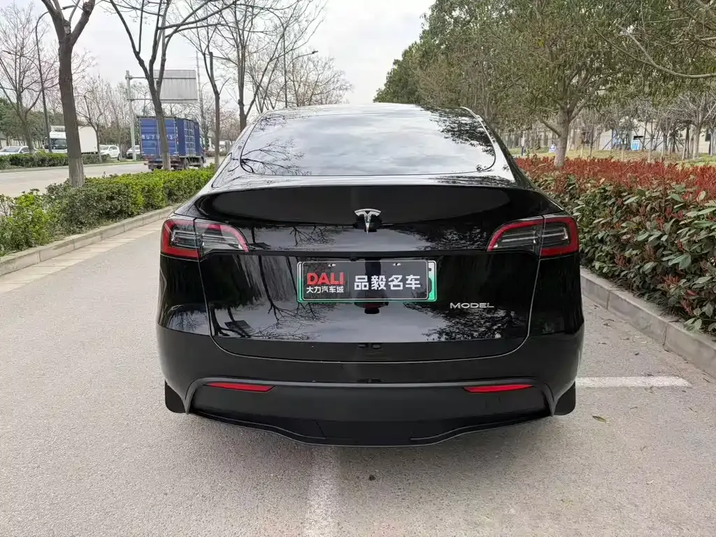 Tesla Model Y — фото 6