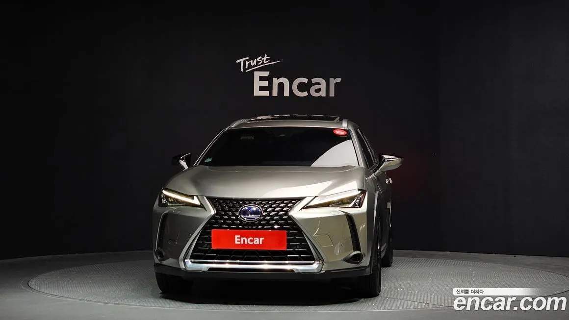 Lexus UX 2021 из KR, фото 9