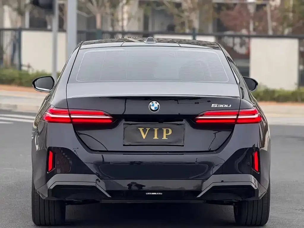 BMW 5 Series 2025 из CN, фото 4