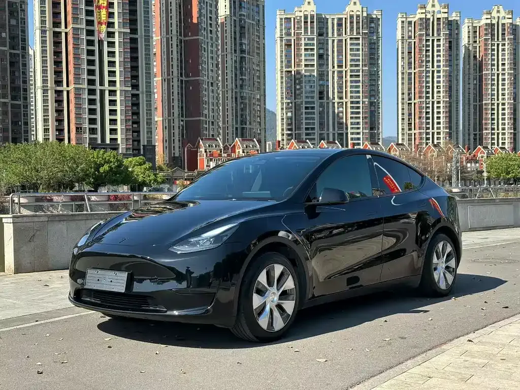 Tesla Model Y — фото 1