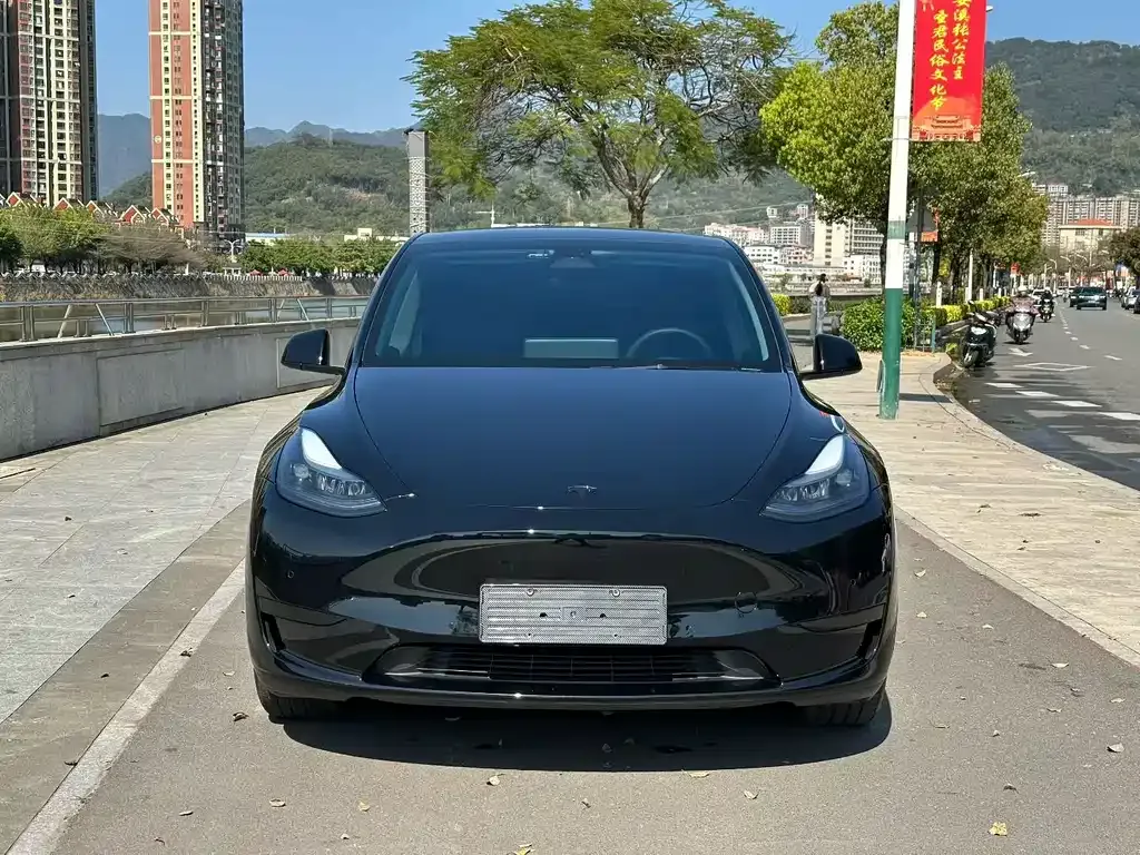 Tesla Model Y — фото 7