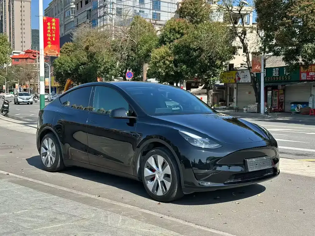 Tesla Model Y — фото 6