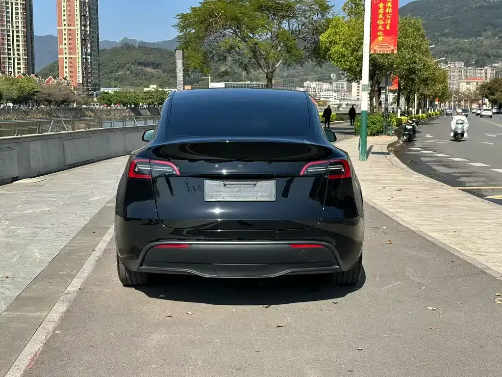 Tesla Model Y — фото 8
