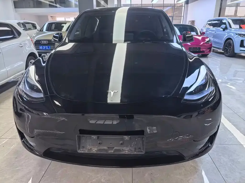 Tesla Model Y — фото 3