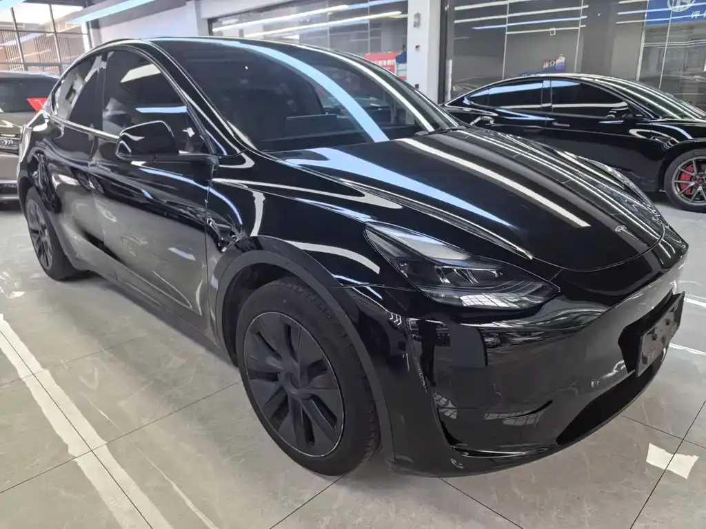Tesla Model Y — фото 9