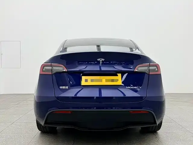 Tesla Model Y — фото 2