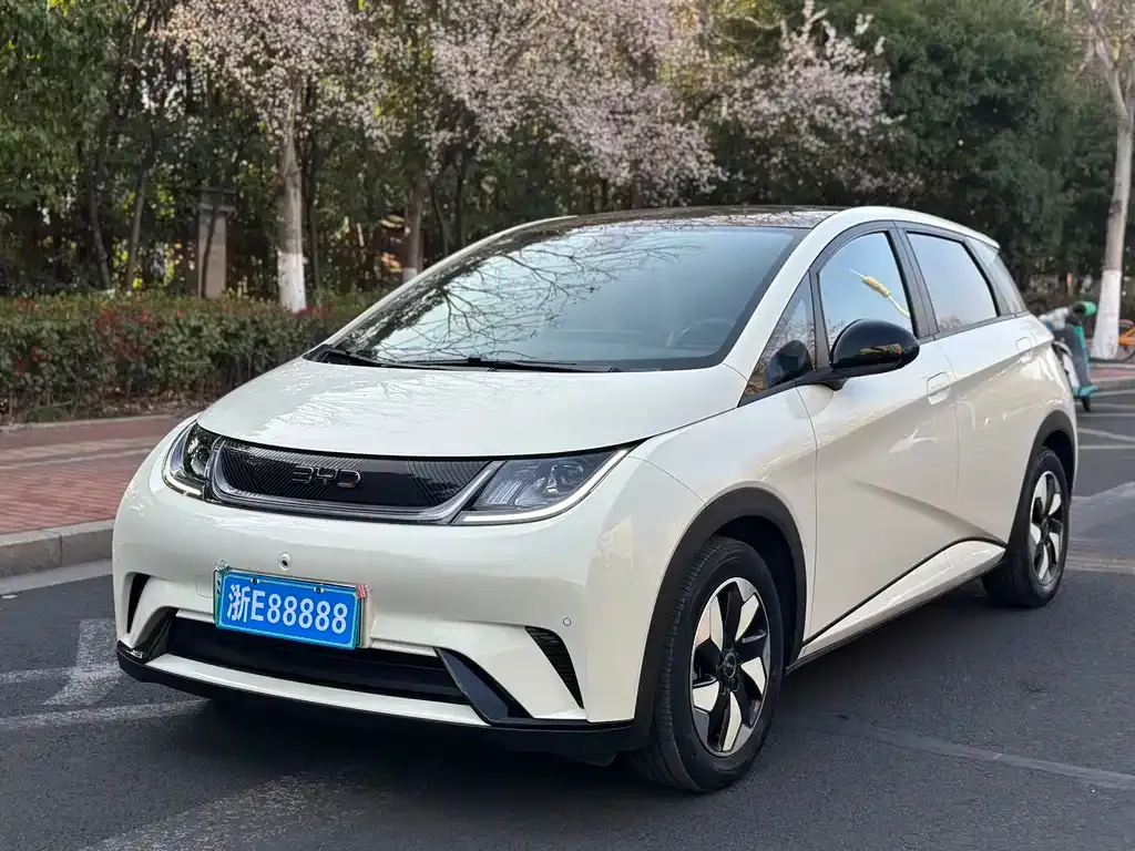 BYD Dolphin 2024 из CN, фото 1