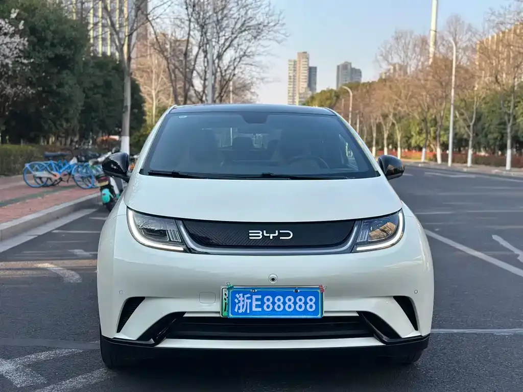 BYD Dolphin 2024 из CN, фото 8