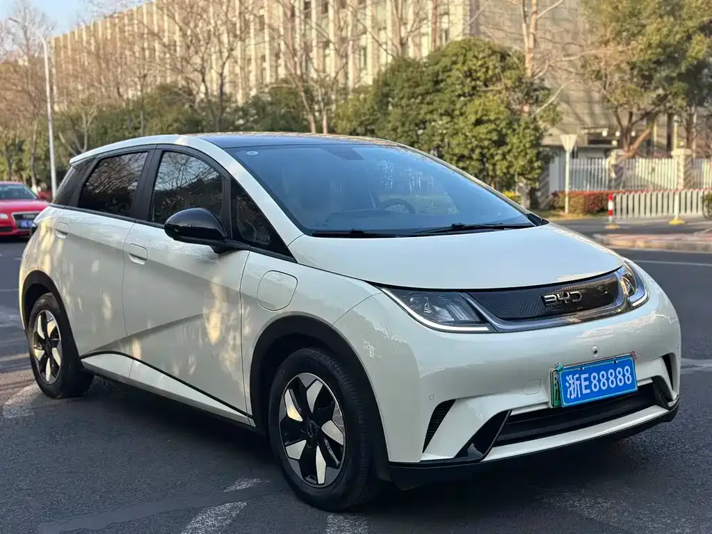 BYD Dolphin 2024 из CN, фото 4