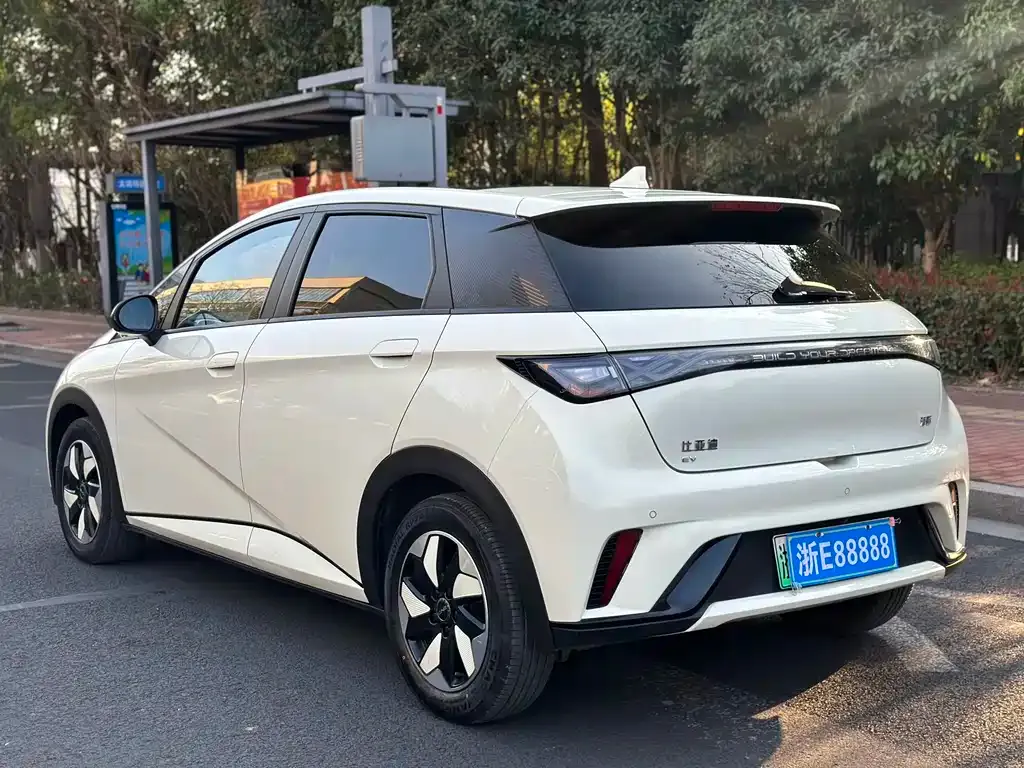 BYD Dolphin 2024 из CN, фото 7