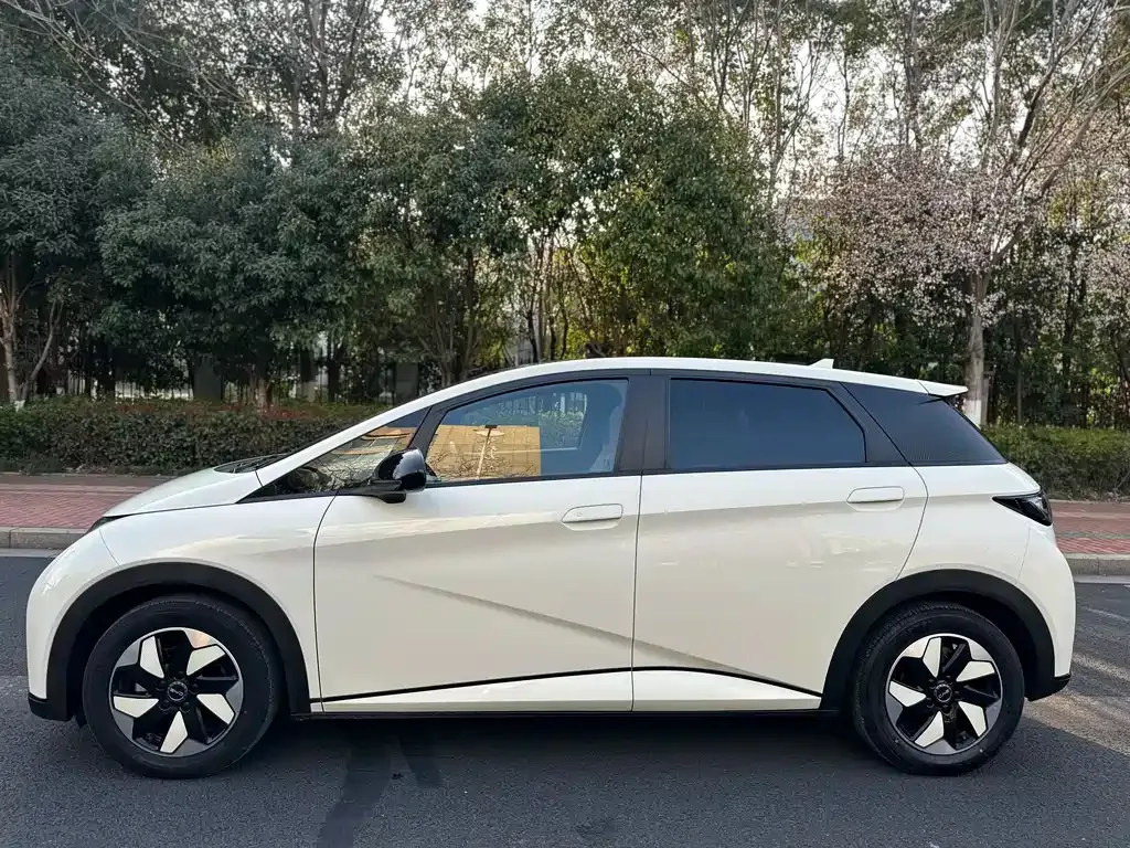 BYD Dolphin 2024 из CN, фото 9