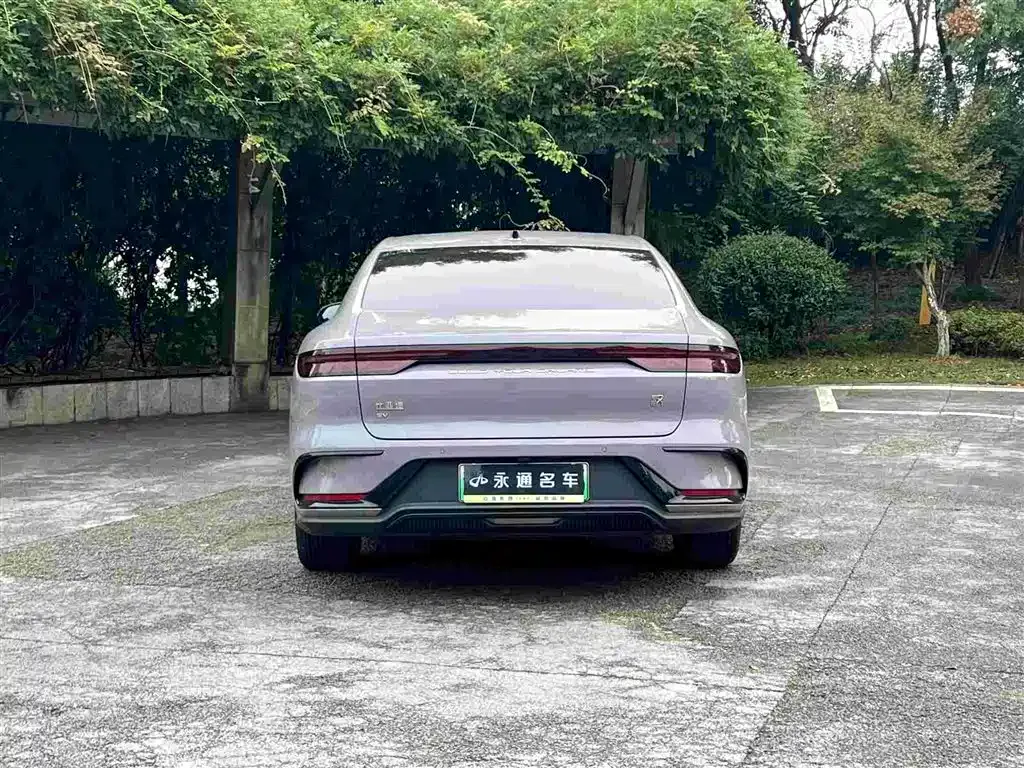 BYD Han — фото 2