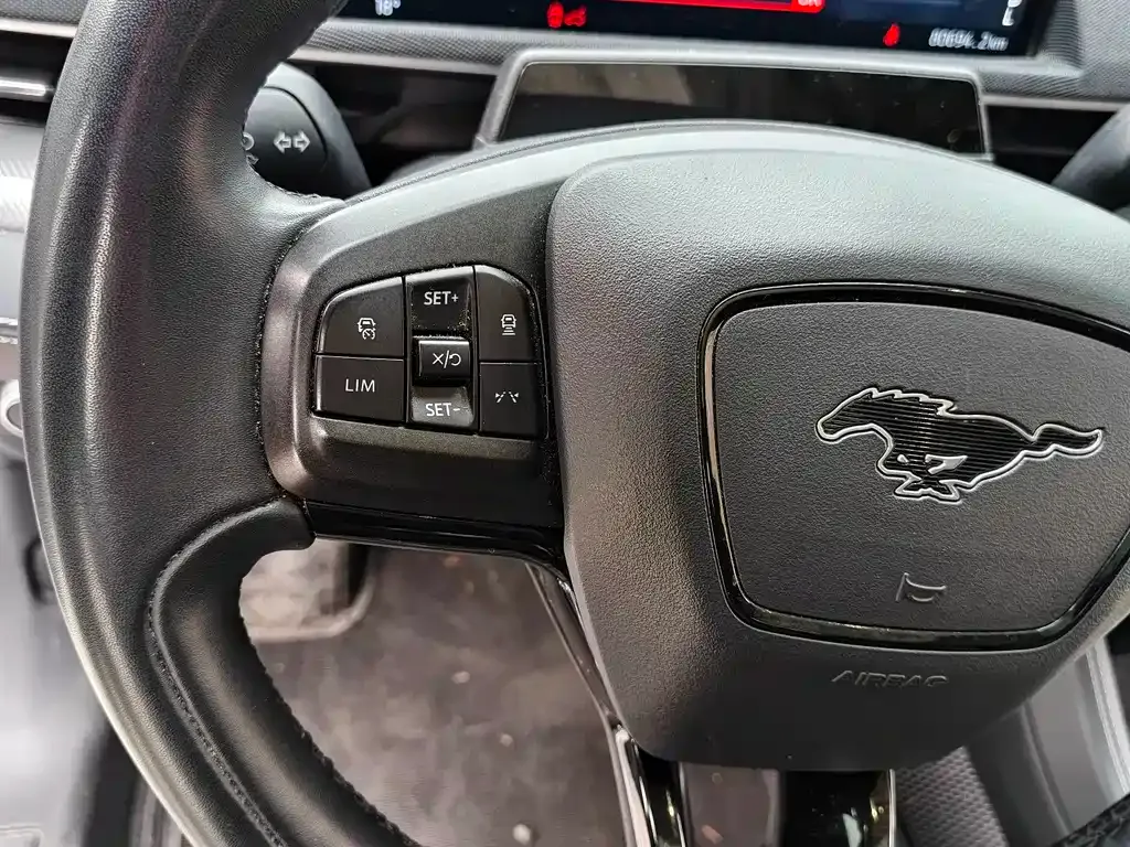 Ford Mustang Mach-E 2022 из CN, фото 10