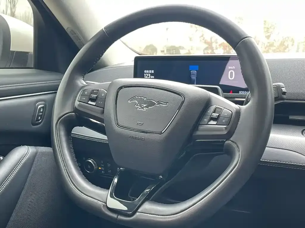 Ford Mustang Mach-E 2022 из CN, фото 9