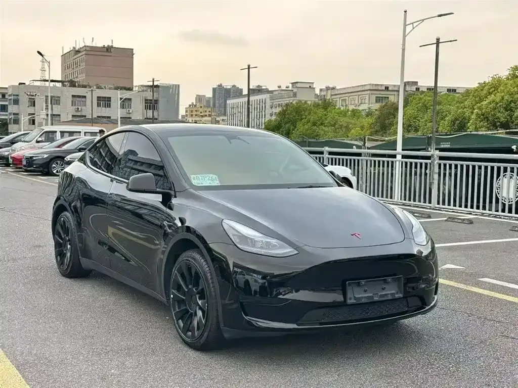 Tesla Model Y — фото 8