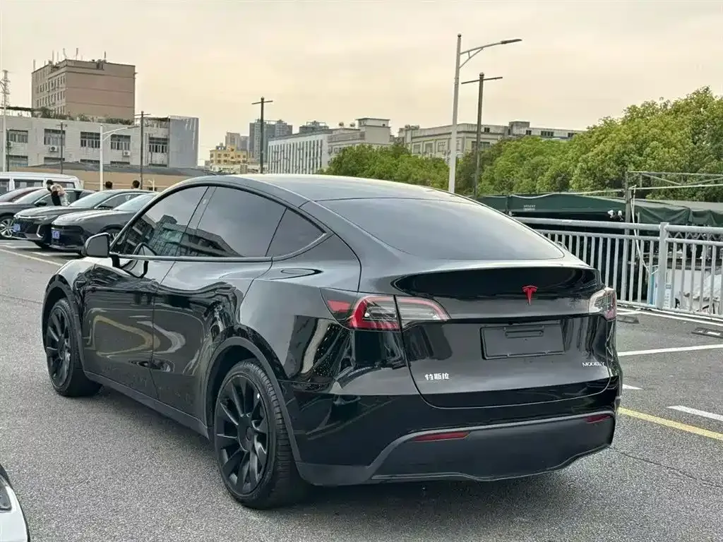 Tesla Model Y — фото 6
