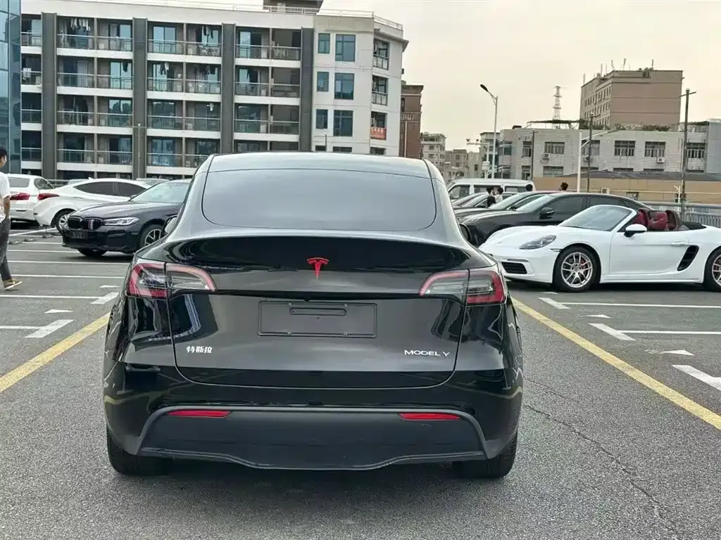 Tesla Model Y — фото 5