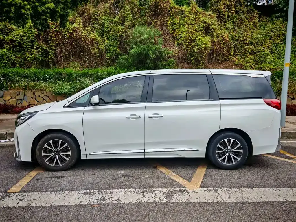 GAC Motor Trumpchi M8 2023 из CN, фото 8