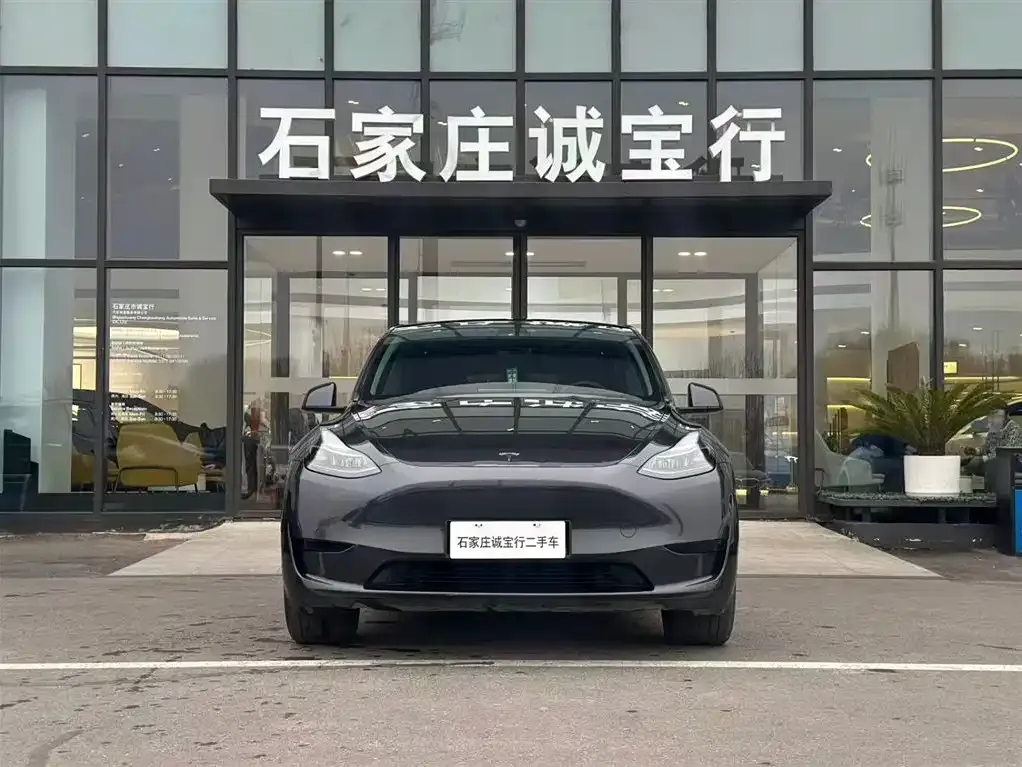 Tesla Model Y — фото 3