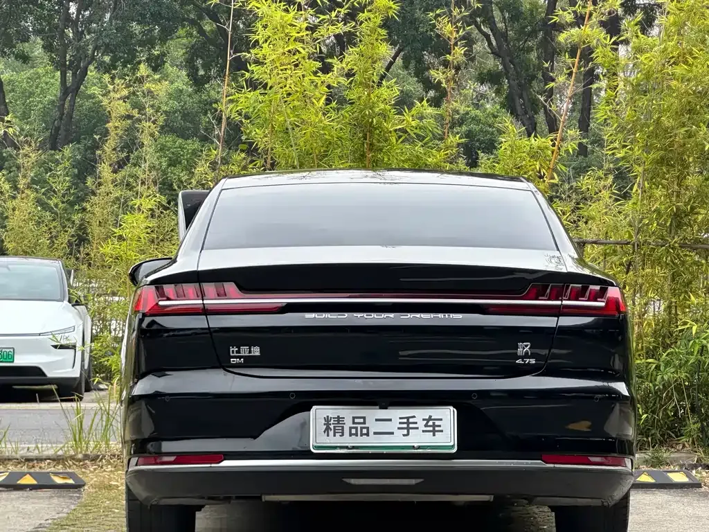 BYD Han — фото 10