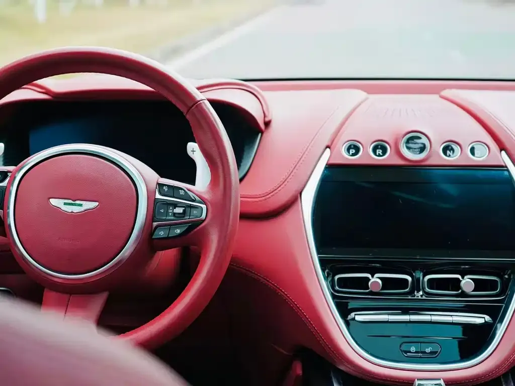 Aston Martin DBX 2022 из CN, фото 5