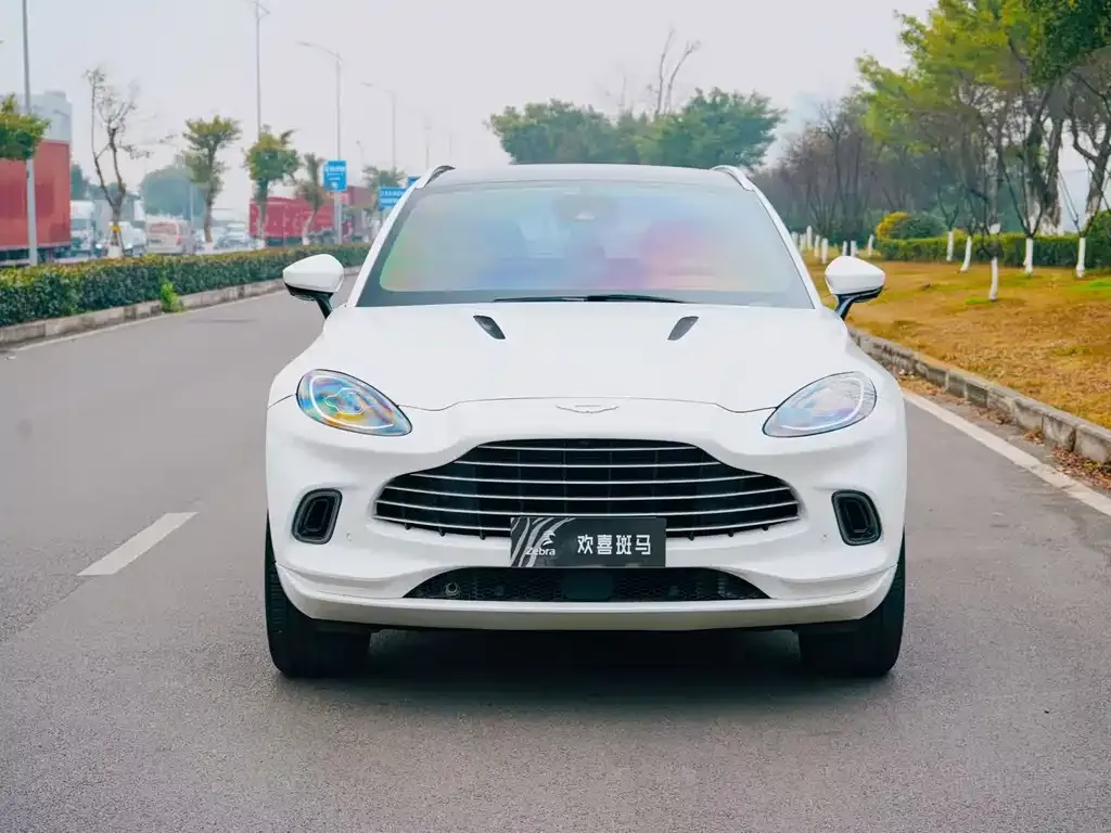 Aston Martin DBX 2022 из CN, фото 10