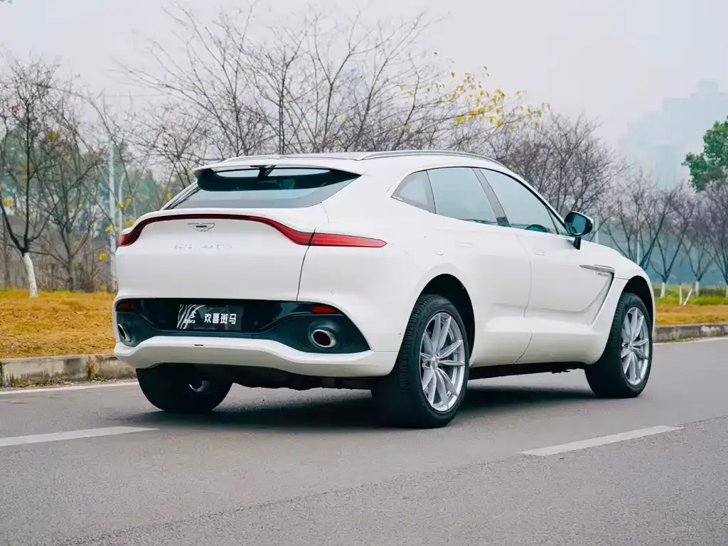 Aston Martin DBX 2022 из CN, фото 7