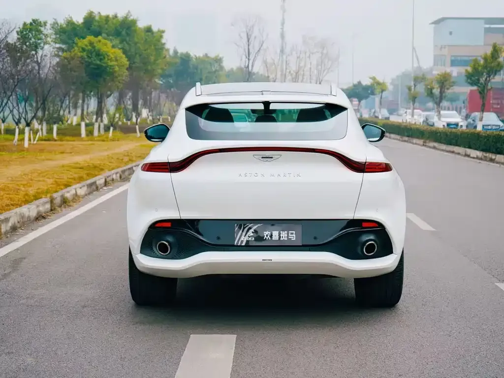 Aston Martin DBX 2022 из CN, фото 9