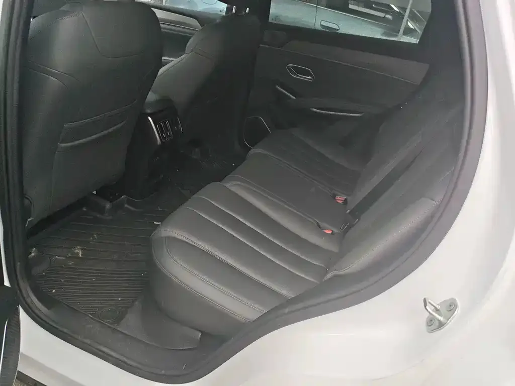 BYD L DM-i — фото 3
