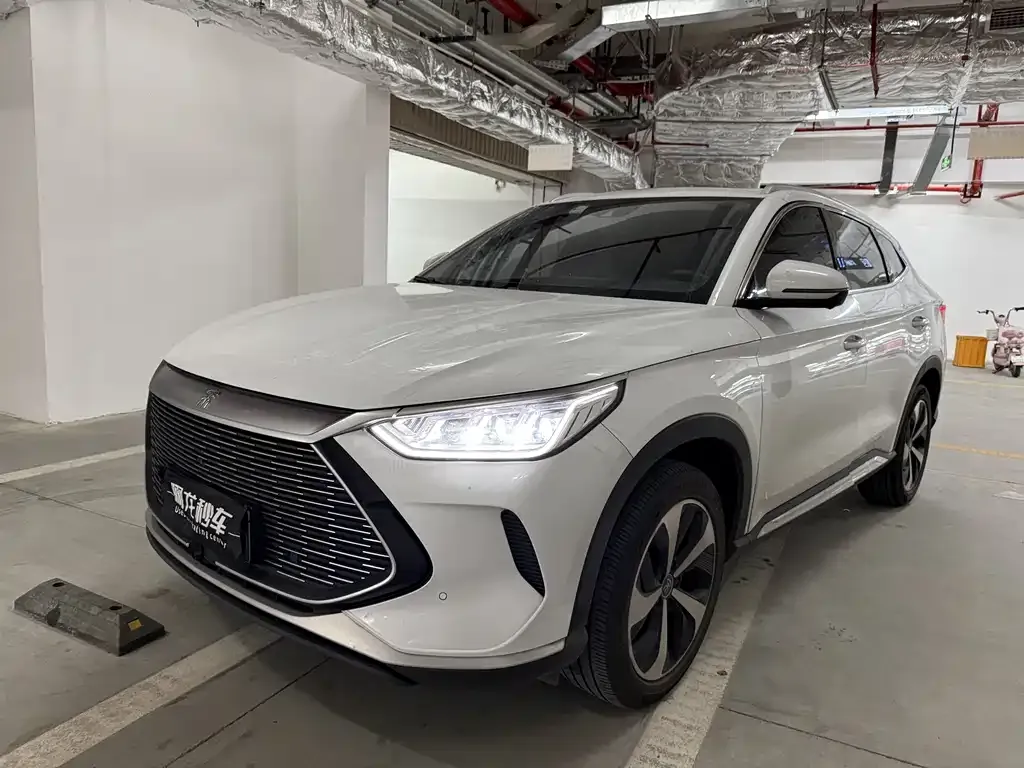 BYD PLUS New Energy — фото 1