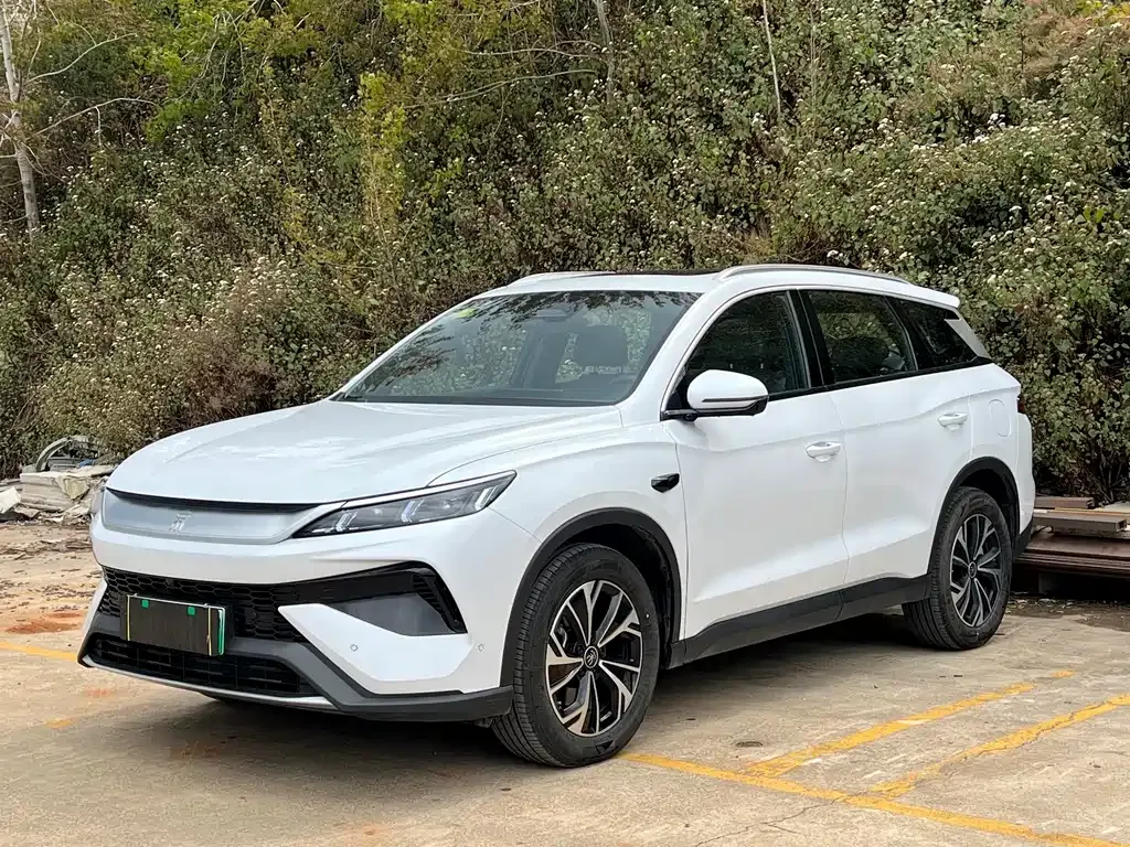 BYD Pro New Energy — фото 1