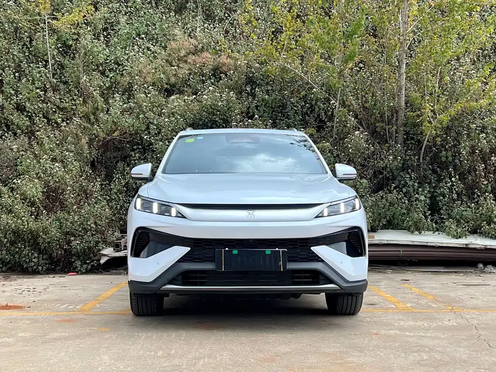 BYD Pro New Energy — фото 8