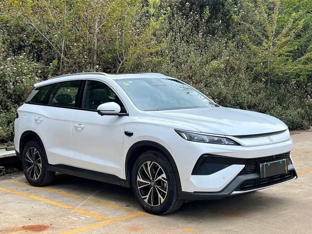 BYD Pro New Energy — фото 10
