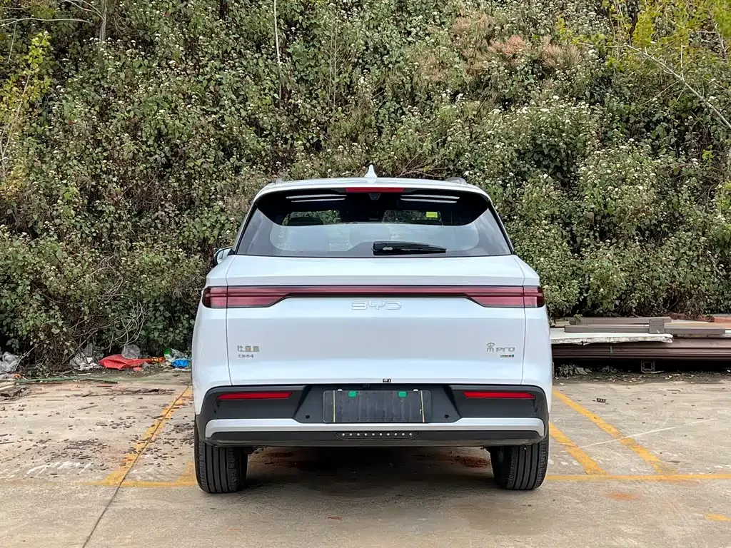 BYD Pro New Energy — фото 5